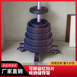 Barbell Rack, Home Barbell Rack, Large Hole Placement Rack, Olympic Bar Storage Rack, Multi-Functional Storage Rack