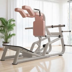 Women's Shaping Equipment, High and Low Pull-Down Thigh Inner and Outer Thigh Trainer, Hip Bridge Machine, Hack Squat Machine, Personal Training Equipment