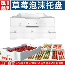 Fig Tray, Fruit Foam Tray, Grape, Raw Seafood Foam Box, Mango Without Lid, Orange Transfer Foam Box