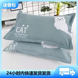Pillow Core for Neck Protection and Sleep Aid, a Pair for Home Use, a Pair for Couples, Pillow with Pillowcase, Suitable for Student Dormitories