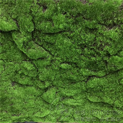 Artificial fake moss green scene lawn plant wall