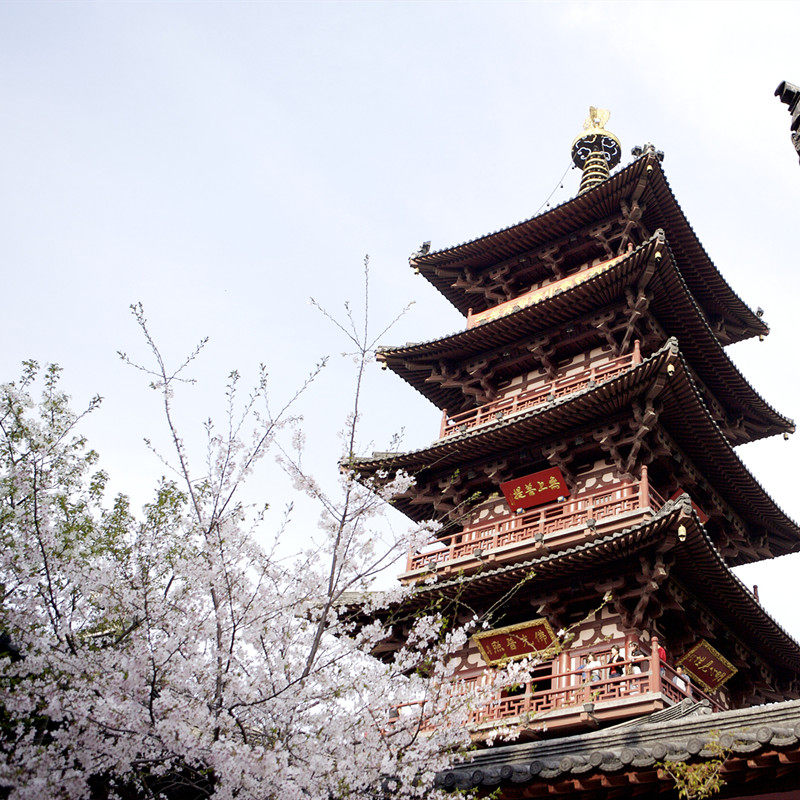 南京高铁出发【纯玩】杭州西湖游船-千岛湖-苏州园林-寒山寺3日游