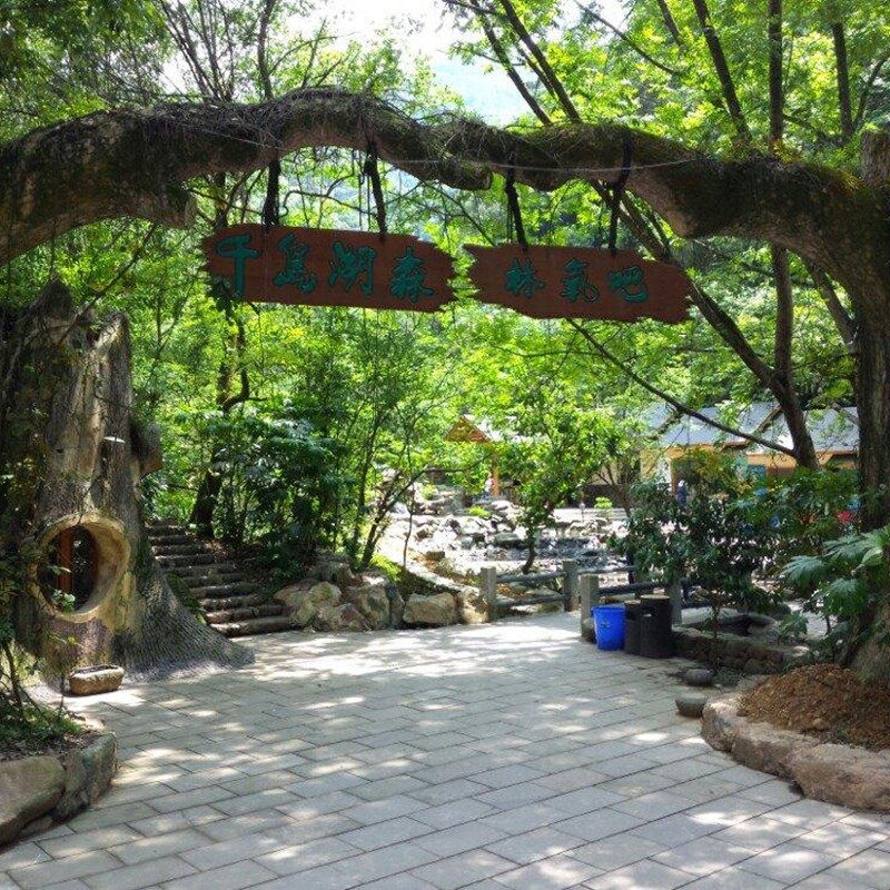 杭州+千岛湖+苏州3日游【纯玩】含西湖游船 登雷峰塔 游苏州园林