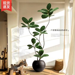Artificial Green Plant Black Rubber Tree Decoration for Living Room, Luxury High-End Large Floor-Standing Faux Plant for Bedroom and Balcony