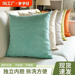 Living Room Sofa Throw Pillow Cushion, Light Luxury American Style, 2024 New Model, High-End Modern Office Large Size Bedside Chair