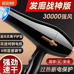 Hair Dryer for Home Use, Professional Salon-Grade, Negative Ion Hair Care, Strong Wind, Electric Hair Dryer, High Power