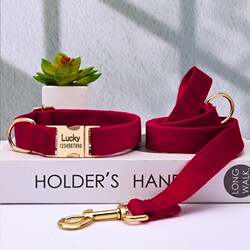 Dog Engraved Collar, Teddy Collar, Dog Leash with Engraving, Anti-Lost Traction Rope, Plush Adjustable Neck Collar for Medium and Large Dogs