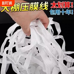 Greenhouse Film-Pressing Tape, Thickened Special Film-Pressing Rope, Branch-Tying Rope, White Polyester Flat Strap, Sun-Resistant, Durable, and Secure