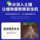 Plant regeneration agent concentrate nutrient solution general type flower green plant potted plant wealth tree succulent growth resurrection solution
