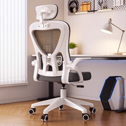 Computer Chair, Gaming Chair, Ergonomic Chair, Comfortable Home Office Chair, Comfortable for Long Periods of Sitting, Dormitory Chair, Backrest Chair