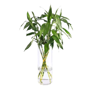 
Living room floor-standing glass vase ornaments thickened flower arrangement creative snow willow rich bamboo special porch art transparent