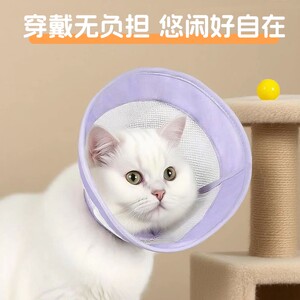 
Elizabeth circle pet headband dog cat circle pet neck cover anti-bite injection collar anti-licking pet supplies