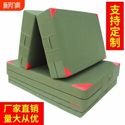 Acrobatic Sports Mat, Foldable Thickened Sponge Mat for High Jump, Taekwondo Mat, Rock Climbing Training, Dance Gymnastics Protective Mat