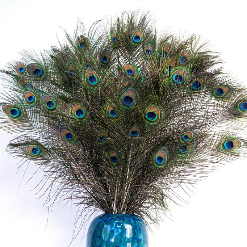 孔雀の羽の装飾品 - クラシックなリビングルームの装飾