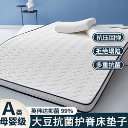 Four-Season Mattress, Home-Use Soft Cushion Mattress, Student Dormitory Single/Double Mattress, Foldable Tatami Mat