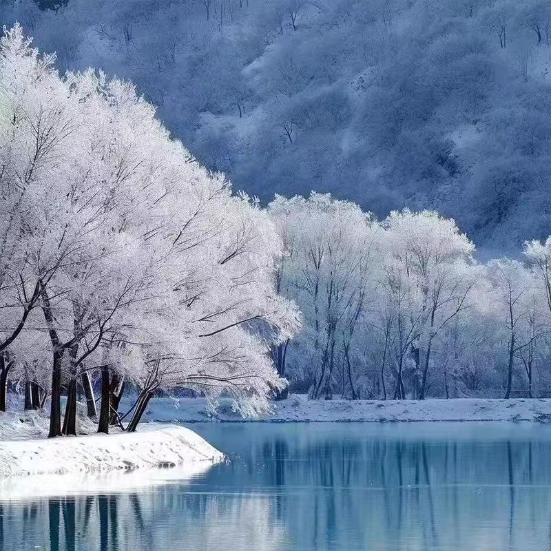 新疆旅游冬恋双湖北疆阿勒泰禾木喀纳斯赛里木湖拼车6日9改7