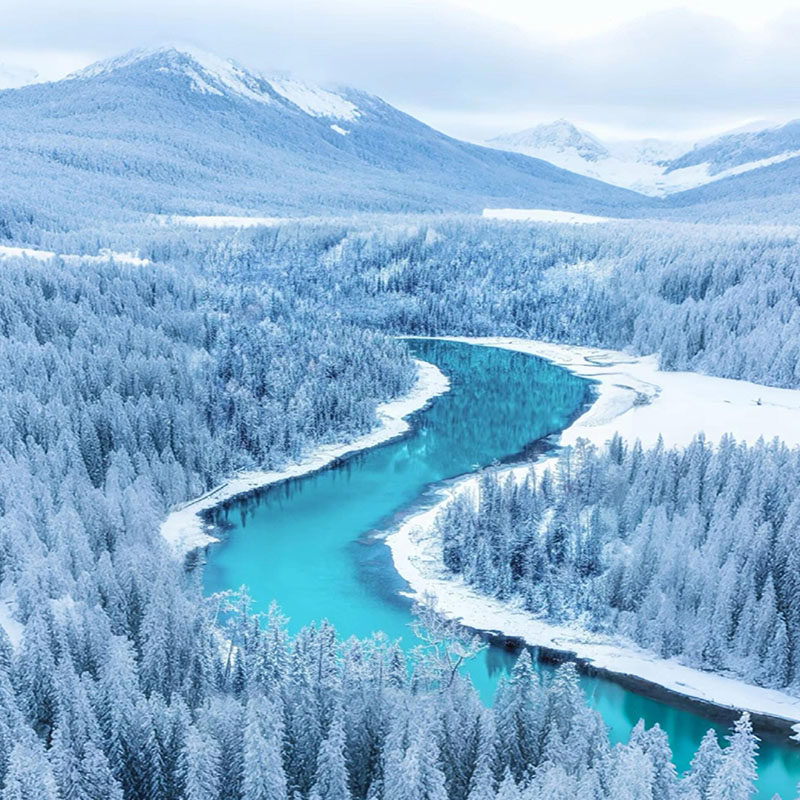 新疆阿勒泰起止喀纳斯禾木白哈巴3日游2-6人小团大喀集禾越野车