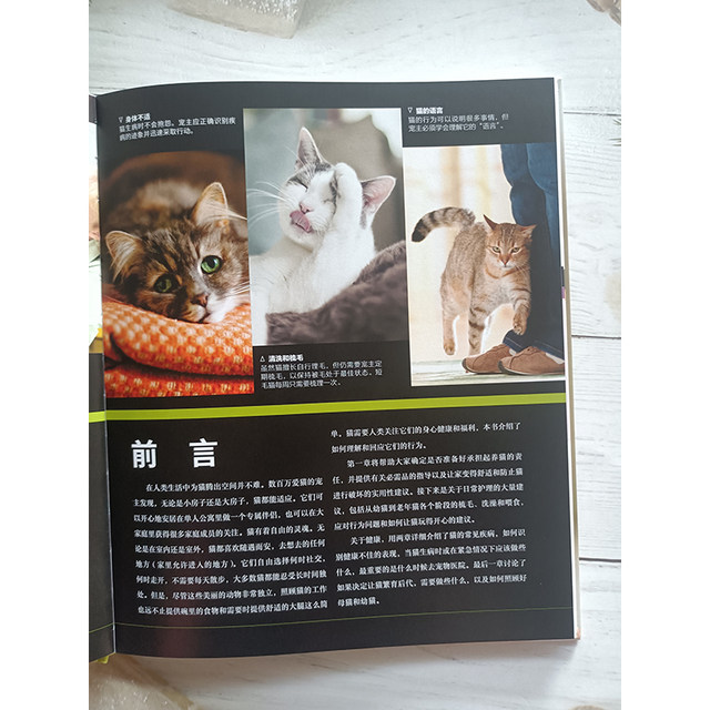 genuine-book-cat-care-guide-how-to-keep-cats-healthy-and-happy-cat