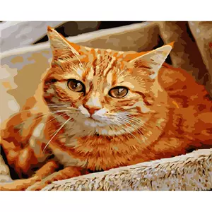 橘猫diy油画- Top 50件橘猫diy油画- 2024年4月更新- Taobao
