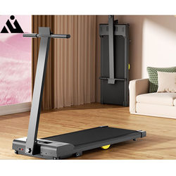 German Treadmill for Home Use, Adjustable Slope, Small Walking Machine, Gym Indoor, Foldable, Silent and Noiseless