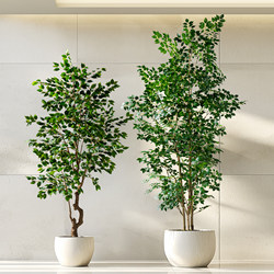 Sun-Resistant Money Tree Artificial Green Plant High-End Light Luxury Indoor and Outdoor Living Room Potted Decoration Fake Tree Landscaping Artificial Plant
