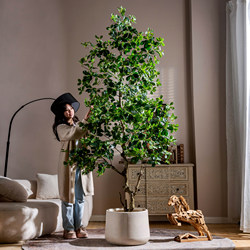 Large High-End Artificial Green Plant, Floor-Standing Bionic Fake Tree, Indoor Tropical Style Landscape Decoration