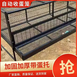 Chicken Cage for Home Use, Indoor and Outdoor, Large Wire Mesh, Rainproof, Weasel-Proof, Egg-Laying Cage, Automatic Egg Rolling Cage, Breeding Cage