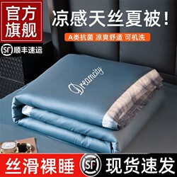2026 New Tencel Summer Quilt Washable Air-Conditioning Quilt Four-Piece Set Summer Ice Silk Single/Double Summer Thin Quilt