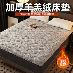Fleece Mattress for Home Bedroom, Lamb Wool Sleeping Pad, Mattress Pad for Rental Housing, Soft Back Cushion, Single Bed for Student Dormitory