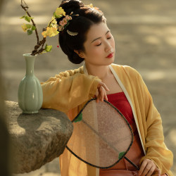 Hanfu with hibiscus and osmanthus flowers and airplane sleeves made in the Song Dynasty