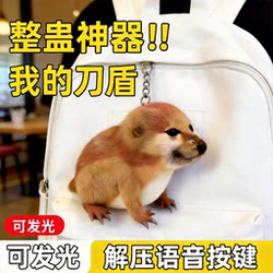 Trendy Viral Item: My Knife and Shield Plush Toy, Small Pet Dog Doll with Sound Button, Stress-Relief Toy