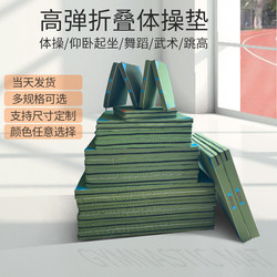 Gymnastics Mat, Wrestling Flip Mat, Dance Training Mat, Martial Arts Protective Mat, Taekwondo Mat, Sports Practice Mat, Folding Mat