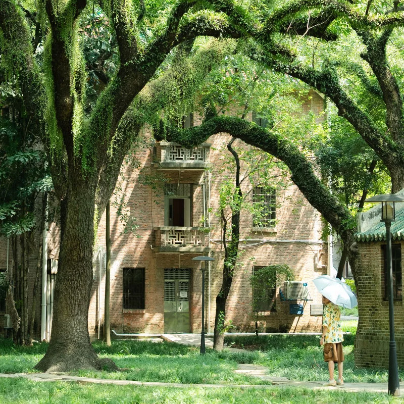 橙怡旅行广东潮汕5天4晚纯玩团爸妈亲子情侣旅游