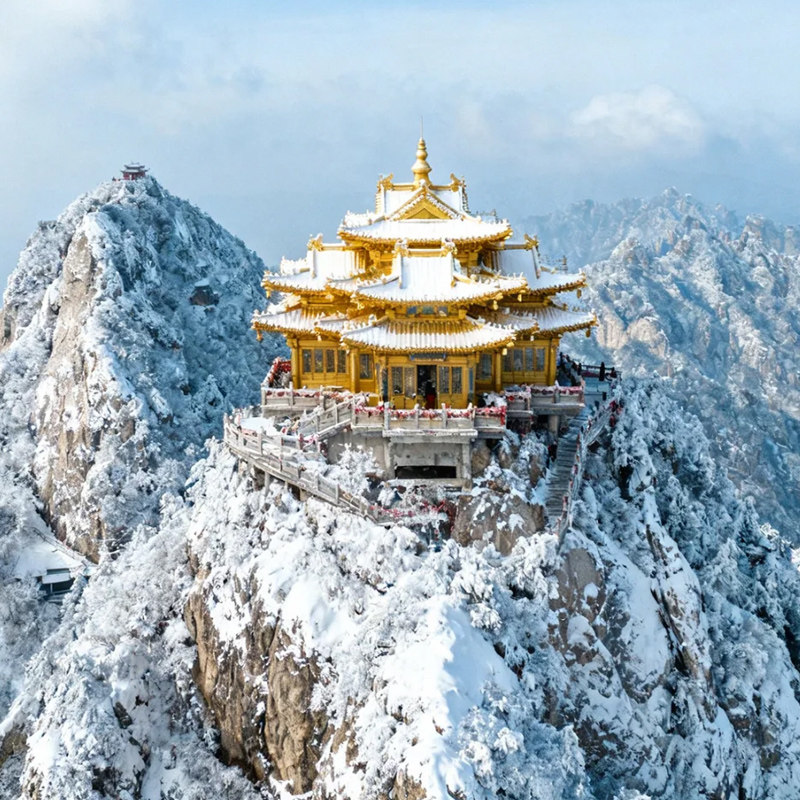 橙怡旅行河南郑州洛阳旅游3天2晚跟团游爸妈亲子情侣纯玩