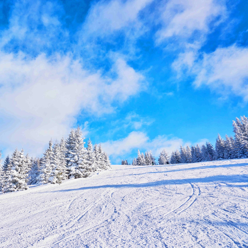 1家1团 雪乡 镜泊湖 长白山 魔界 雾凇岛4天3晚游 纯玩0购