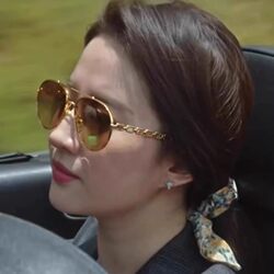 Sunglasses for Women, the Story of Rose, Liu Yifei's Same Style Sunglasses, Women's 2026 New Model, Aviator Glasses, Brown, High-End Feel