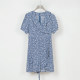 
NUTS autumn new French fresh blue V-neck floral short-sleeved dress for women