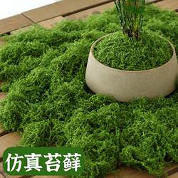 Simulated Moss Turf, Fake Moss, Filamentous Bionic Green Plants, Potted Artificial Landscape, Micro-Landscape Flower Pot Surface Cover