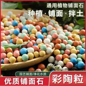 Colorful pottery granules with bottom flower paving surface, breathable, flower water, water cultivation, planting surface stone succulent nutritional nutrition
