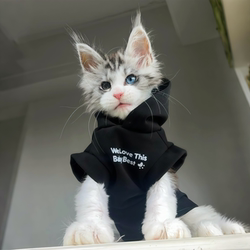 Cat Clothes for Autumn and Winter, Fleece-Lined and Thickened, Stylish and Eye-Catching Hooded Sweatshirt, Anti-Shedding, for Kittens, Ragdoll, British Shorthair