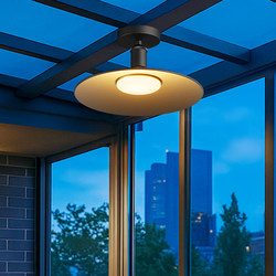 Special Lamp for Sunrooms, Balcony Ceiling Lamp, Waterproof Courtyard Pavilion Led Lighting Chandelier, Super Bright Glass Canopy Lamp