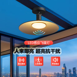 Sun room special lamp balcony ceiling lamp