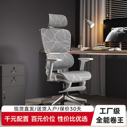 Ergonomic Chair, Waist-Protecting Computer Chair, Home Comfortable Sedentary Gaming Chair, Girls Can Lie Down, Office Chair