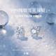 S999 Sterling Silver Snowflake Earrings for Women 2025 New Hot Zircon Earrings Light Luxury High-end Ear Piercing Ear Jewelry