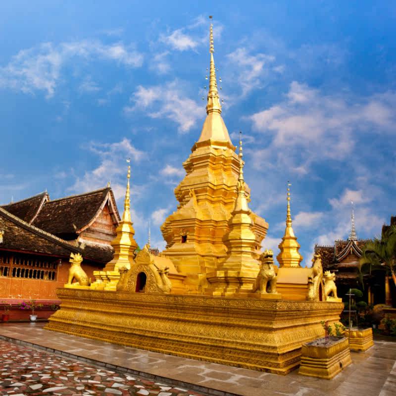 昆明西双版纳纯玩4日游精品小团昆明动车往返亲子游中科植物园