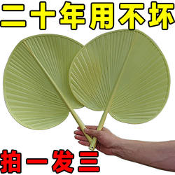New Hand-Cranked Large Palm Fan, Thickened and Enlarged, Anti-Breakage, Summer Fan, Household Plastic Fan, Old-Fashioned Household Fan