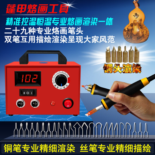 Pengjia Professional Pyrography Machine Gourd Wood Heat Painting ...