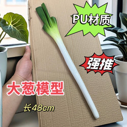 Simulated Green Onion Model Fake Vegetables and Fruits Props Plastic Decorations Ornaments Children's Toys Photography Shooting Teaching Aids