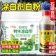 Dilution-free fruit tree whitening agent lime sulfur mixture gardening courtyard trees universal clear garden pesticide insect protection antifreeze