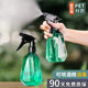 Watering kettle for watering flowers. Watering kettle for household small alcohol disinfection and cleaning. Special ultra-fine mist spray bottle for gardening.